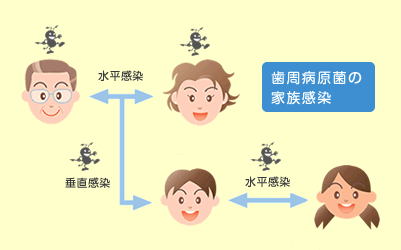 歯周病原菌の家族感染